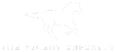 THE SILENT INFINITY